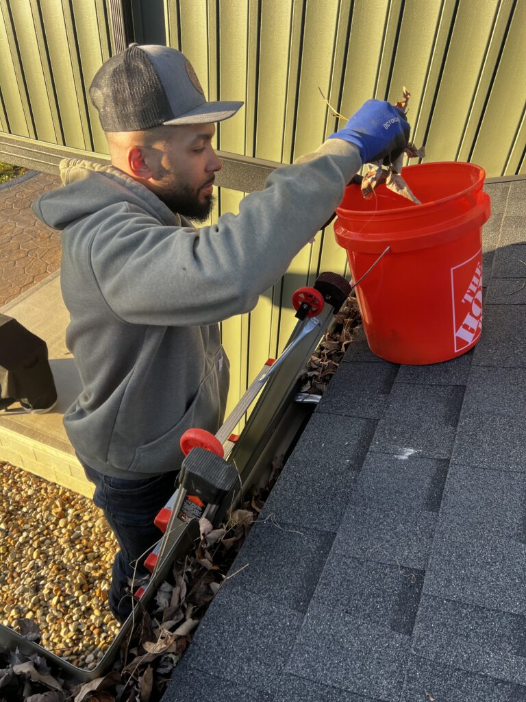 Gutter Cleaning