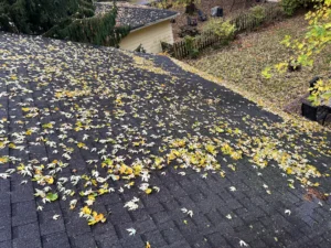 emergency gutter repair