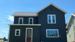 professional gutter cleaning