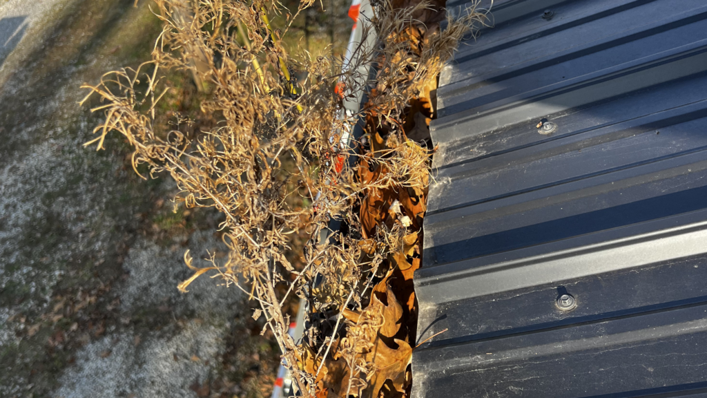 gutter cleaning frequency