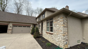 trees and gutter maintenance